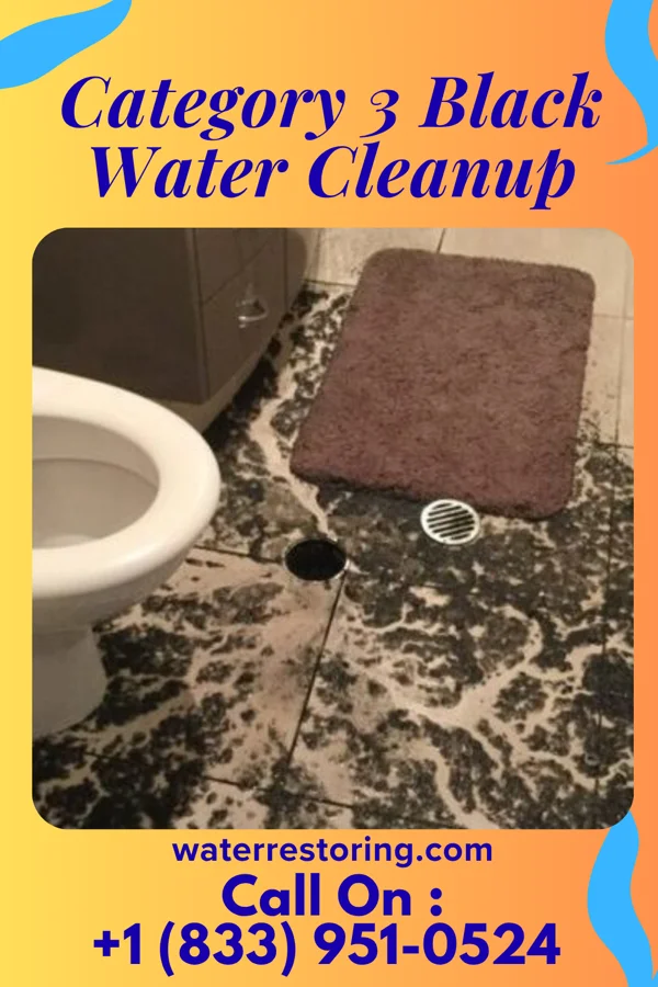 Category 3 Black Water Cleanup in St. Francis, MN