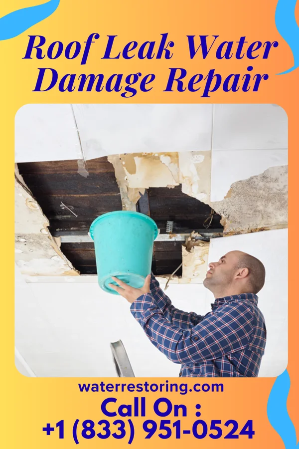 Roof Leak Water Damage Repair in St. Francis, MN